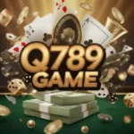 Q789 Game