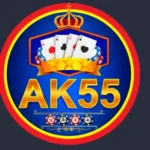 AK55 Game