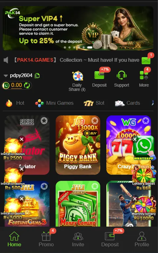 PAK14Game